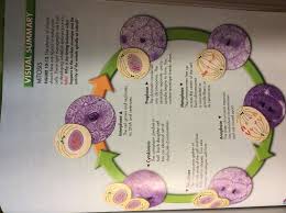 Review for Chapters 12 13 16 17 Flashcards Easy Notecards