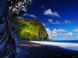 Image result for hawaii