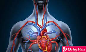 Therefore, it is vital to address the issue related to blood circulation. Best Methods To Maintain A Good Flow Of Blood Circulation Ebuddynews