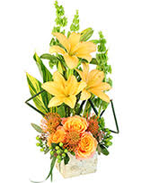 Denton is a town in davidson county, north carolina, united states. Modern Tropical Designs Flowers By Patty Denton Nc