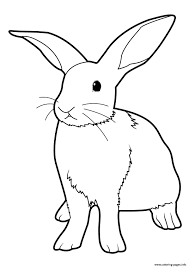 The easter bunny is a long honored tradition carried out for centuries. Easter Bunny Real Rabbit Coloring Pages Printable