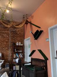 Atlanta cat cafe serving great coffee, creating quality experiences, helping cats get adopted since 2016. Happy Tabby Cat Cafe 129 Photos 36 Reviews Coffee Tea 529 Irwin St Ne Old Fourth Ward Atlanta Ga Phone Number Yelp