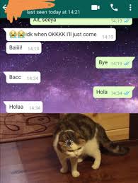Last Seen 14 21 Message At 14 34 Memes