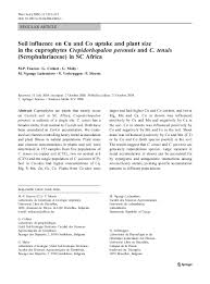 Image result for Crepidorhopalon