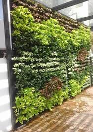 Life Wall One Of The Largest Vertical Garden Providers From India Large Vertical Garden Vertical Garden Plants Vertical Garden