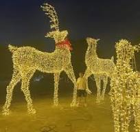 LED 3D Motif Metal Craft Deer Light for Outdoor Christmas Decoration