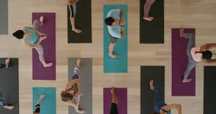 Check spelling or type a new query. Yoga Stock Video Footage 4k And Hd Video Clips Shutterstock