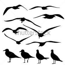 Http Png Clipart Me Graphics Previews 167 Gull Silhouette Vector 167292572 Jpg Bird Silhouette Silhouette Vector Bird Art