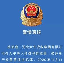此外孙大午曾对帮助过自己的维权律师许志永等人多次讚揚 。 2020年11月11日，孙大午夫妇、孙大午的两个儿子、两个儿媳等家人以及一些公司高管等28人被以涉嫌寻衅滋事、破坏生产经营等為由遭到 河北省 警方逮捕 5 6 7 。 æ–°ä¸–çºªnewcenturynet å­™å¤§åˆå…¶äººå…¶äº‹