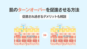日焼け ターン オーバー 早める