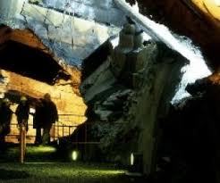 Image result for isolona