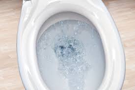 Can I Flush That A List Of Items You Should And Should Not Flush When You Have A Septic System Wexco Environmental