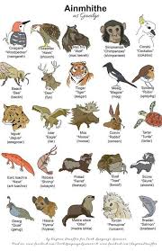 Ainmhithe Animals Irish Language Gaeilge Irish Gaelic