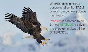 The eagle alone avoids the storm by flying above it. When It Rains All Birds Fly For Shelter But Eagle Avoides Rain By Flying Above The Clouds Problem Is Common For All B Eagles Quotes All Birds Enjoy Quotes