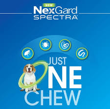 It is also useful in preventing other issues such as tapeworm infestations, sarcoptic mange, mite infestation, and also aids in eliminating worms in the gut. Nexgard Spectra All Wormer Chew For Dogs 3 6 7 5kg