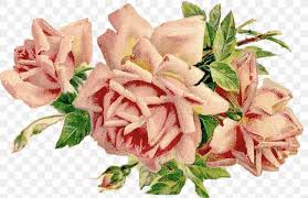 We did not find results for: Teacup Teapot Saucer Clip Art Png 3132x2026px Tea Cup Cut Flowers Floral Design Floristry Download Free