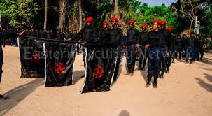 Presidency accuses ipob of discrediting nigeria internationally. Indigenous People Of Biafra Usa