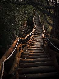Endless Stairs Into Mystery Stairs Paths Nature