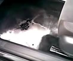 How To Remove Rotting Milk Odor From A Vehicle Odordude