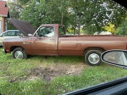 Image result for Mink Brown 1984 Dodge