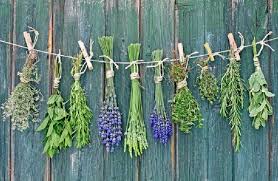 Untuk awal permainan, sobat akan diberikan uang 500g (lumayan untuk modal :d), dan sobat harus bisa membangun pertanian sobat dari nol menggunakan uang tersebut. Tanaman Penghasil Uang Terbesar Dan Menguntungkan