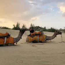 Shalininde est une boutique indienne en ligne de vêtements comme des saris, des salwars kameez, des kaftan. Les Volontaires Pourront Decouvrir Notre Culture Indienne Et Nous Serons Ravis De Leur En Apprendre Plus Sur Le Pays En Echange De Leur Aide Dans Notre Maison D Hotes En Inde