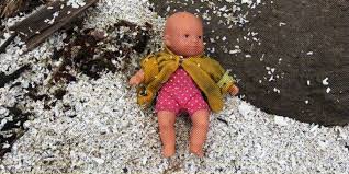 Real Life Toy Story: How a Lost BC Dolly Survived An Epic Ocean Odyssey to  Return Home