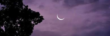 Portada para mis redes, ilustración digital. Portadas Para Facebook Tumblr Fondos Para Twitter Fotos De Portada De Facebook