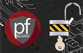 Once you update your computer dns address to google dns which 8.8.8.8 and you will able to browse the blocked sites after flushed dns. How To Enforce Pfblockerng Dnsbl Filtering For Specific Network Clients
