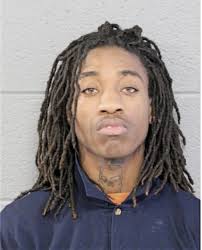 ᐅ Illinois Criminal Records 2009-2026