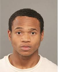 ᐅ Illinois Criminal Records 2009-2025