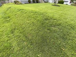 If your landscaping doesn't take the proper angle, water may collect on your lawn faster that it can drain. Water Not Soaking In On A Slope Is There A Fix The Lawn Forum
