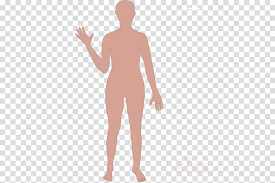 Download Cartoon Human Body Outline Clipart Human Body Drawing Cute Anime Couple Aesthetic Pink Png Image With No Background Pngkey Com 1366 x 685 png 360 кб. cute anime couple aesthetic pink png