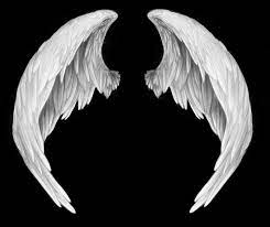 Pin By Design Gerald On Wings Angel Wings Png Wings Png White Angel Wings