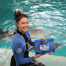 Clearwater Marine Aquarium Florida S Marine Life Rescue Center In 2020 Clearwater Marine Aquarium Marine Life Marine Aquarium