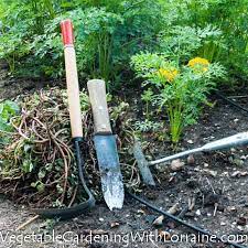 They are responsible for choking the life from vegetable and flower gardens. Organic Weed Control