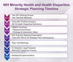 Strategic Plan