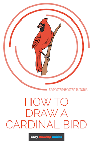 Cardinals are found all across north and south america and are famous for their bright red feathers. How To Draw A Cardinal Bird Really Easy Drawing Tutorial