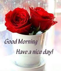 Each day from today will be significant for you my dear, as new things will be your lot, always. Good Morning Have A Nice Day Good Morning My Love Good Morning Gif Good Morning Flowers