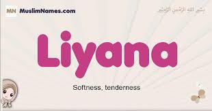 Naming a new baby can be an exciting if daunting task. Liyana Meaning Of The Muslim Baby Name Liyana