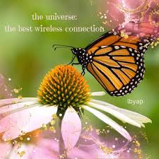 The universe is an amazing place