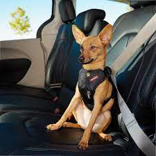 Petsafe solvit dog safety harness. Ezydog Drive Dog Car Harness Safety Restraint Dogculture