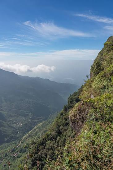 හෝර්ටන් තැන්න ජාතික උද්‍යානය - විකිපීඩියා