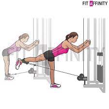 City health foods australia (go vita newcastle). Cable Kick Backs Muscles Target Glutes Hook A Leather Ankle Cuff To A Low Cab Ankle Backs Cab Cable Cuff Glutes H Krafttraining Ubungen Trainieren