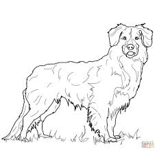 I have some great golden retriever puppy coloring pages for you! Golden Retriever Coloring Page Golden Retriever Coloring Page Free Printable Coloring Pages Albanysinsanity Com Puppy Coloring Pages Dog Coloring Page Drawing Dogs