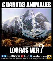 18,815 likes · 172 talking about this. Resultado De Imagen Para Juegos Mentales Visuales Juegos Mentales Juegos Mentales Imagenes Reto Mental