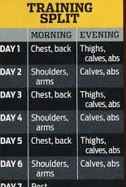 Arnold Workout Chart Sport1stfuture Org