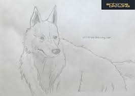 Read cartoon baby wolves from the story drawings by fireandicemoon (#ilovejesus!!!) with 4 reads. 101 Creative Anime Drawing Ideas 77 Is Unusual Enhance Drawing