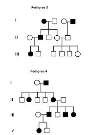 Decoding Pedigrees Made Easy