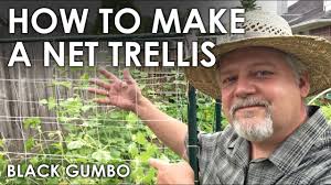 Find here garden trellis, plant trellis manufacturers, suppliers & exporters in india. How To Make A Net Trellis Black Gumbo Youtube